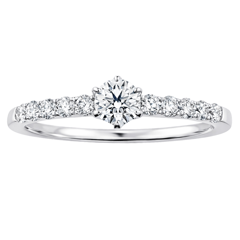 遥の調べ haruka no sirabe