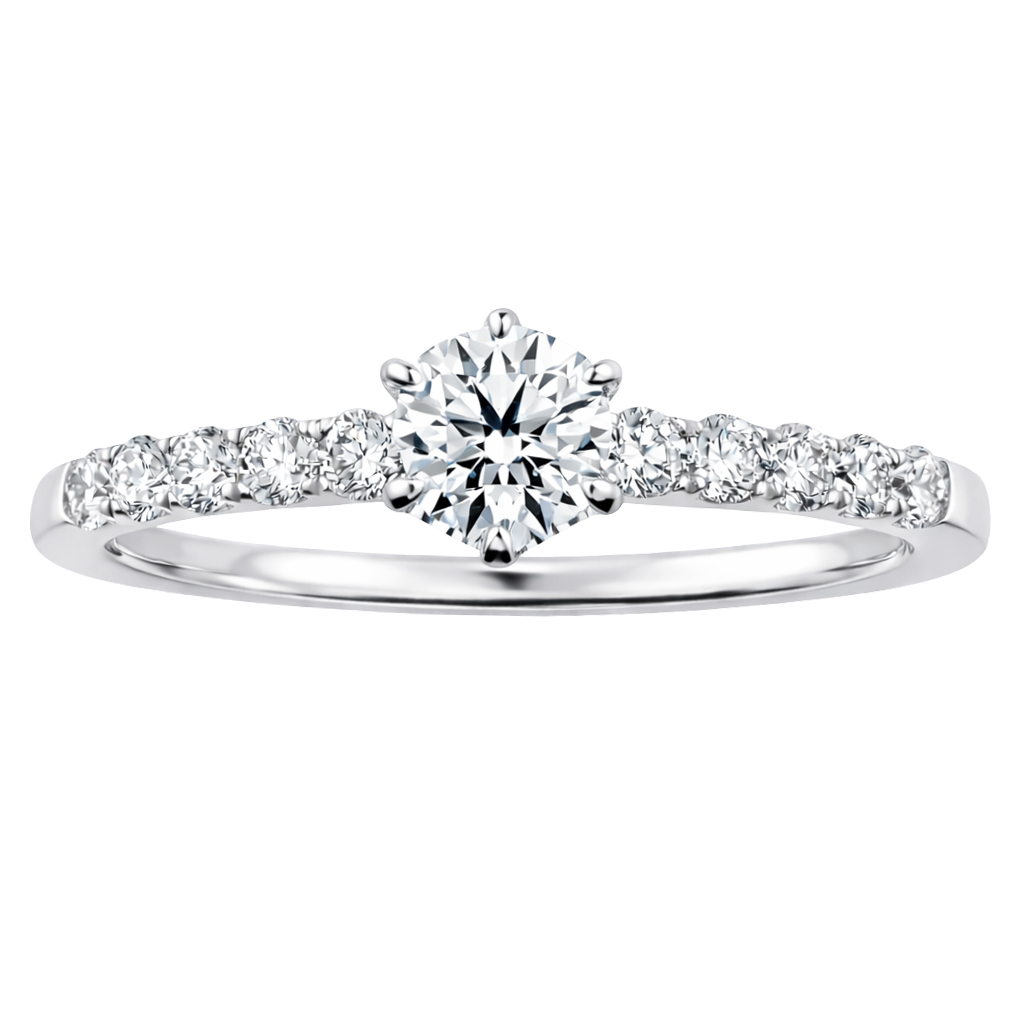 遥の調べ haruka no sirabe