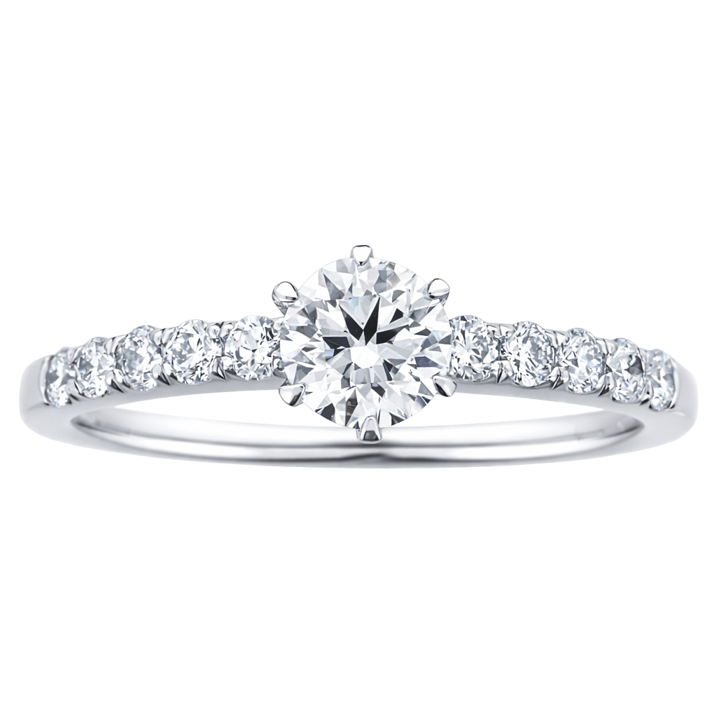 遥の調べ haruka no sirabe