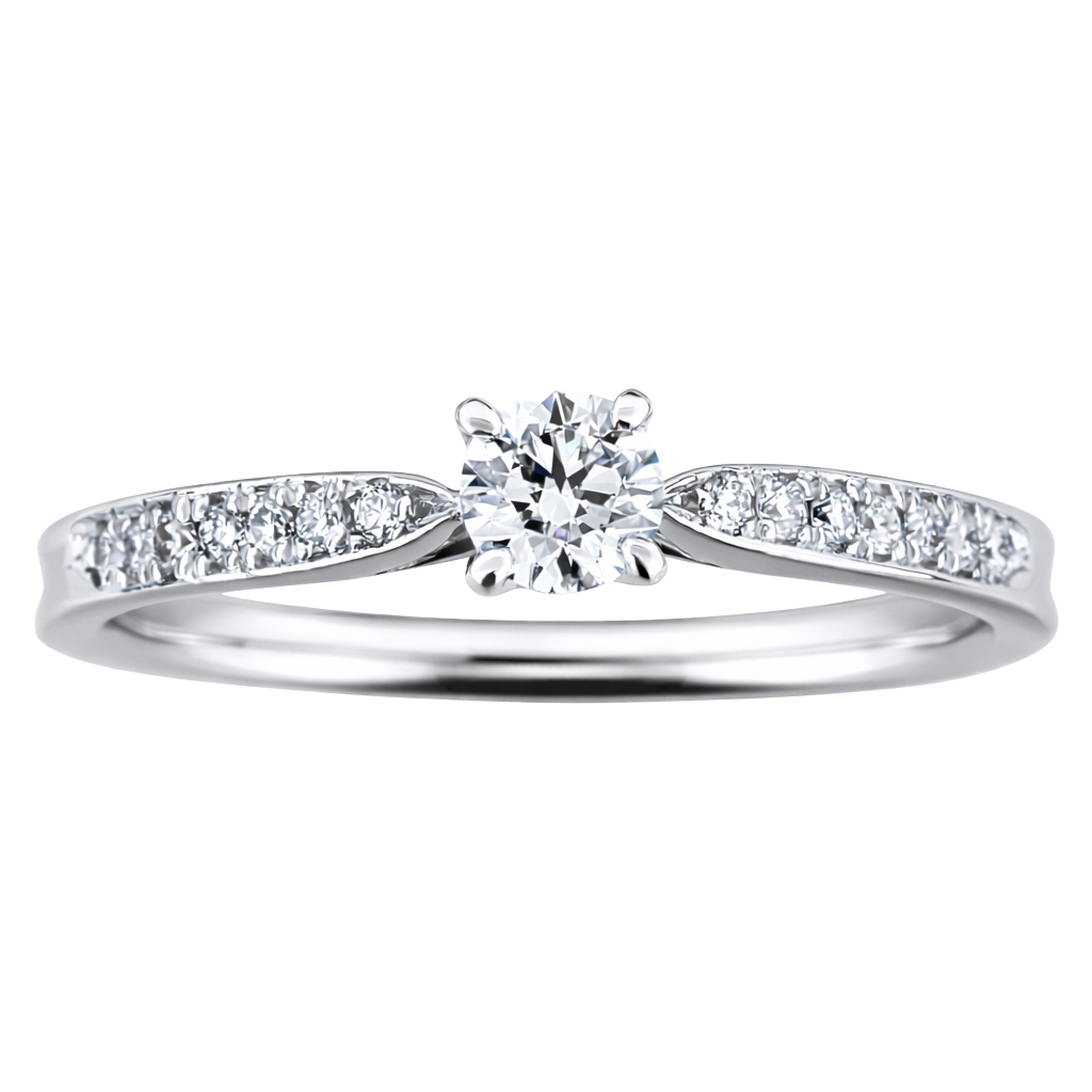 貴い妖精 totoi yousei