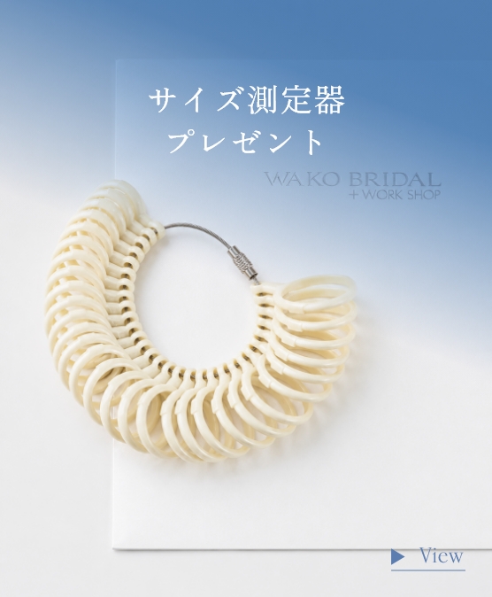 サイズ測定器プレゼント